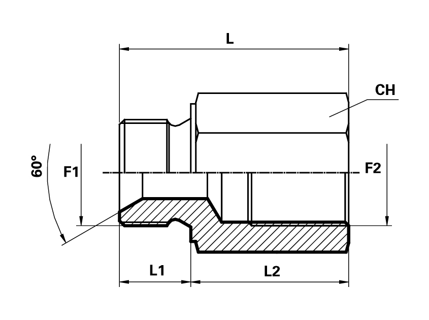 BSP SV 60° Adaptors